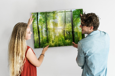 Tableau pour magnet Arbres de la forêt naturelle