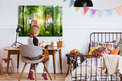 Tableau pour magnet Arbres de la forêt naturelle