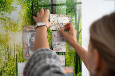 Tableau pour magnet Arbres de la forêt naturelle