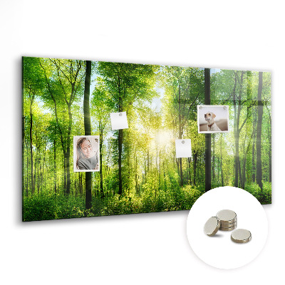 Tableau pour magnet Arbres de la forêt naturelle