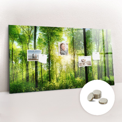 Tableau pour magnet Arbres de la forêt naturelle