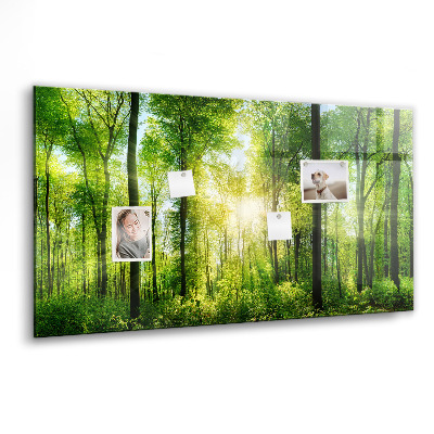 Tableau pour magnet Arbres de la forêt naturelle