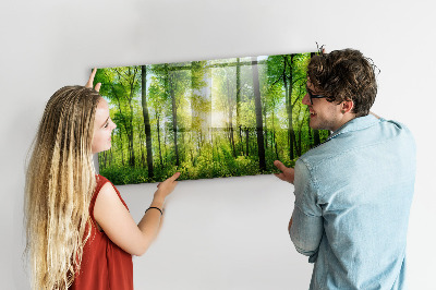 Tableau pour magnet Arbres de la forêt naturelle