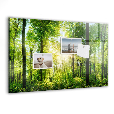 Tableau pour magnet Arbres de la forêt naturelle