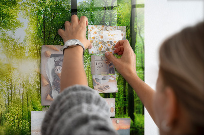 Tableau pour magnet Arbres de la forêt naturelle