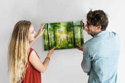 Tableau pour magnet Arbres de la forêt naturelle