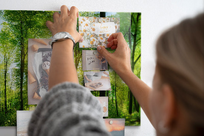 Tableau pour magnet Arbres de la forêt naturelle