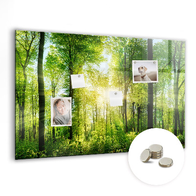 Tableau pour magnet Arbres de la forêt naturelle