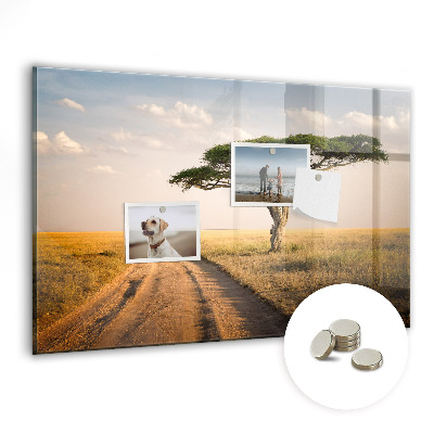Tableau mural magnétique paysage africain