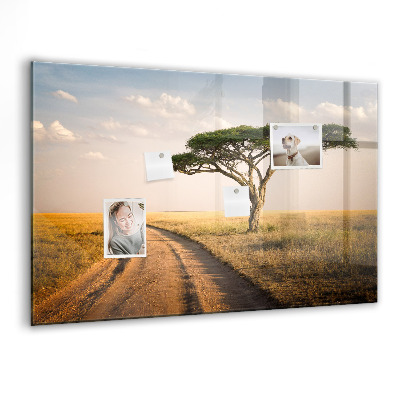 Tableau mural magnétique paysage africain