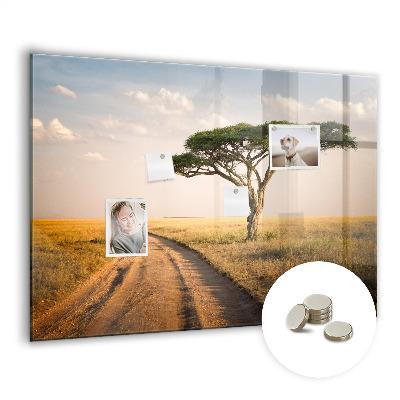 Tableau mural magnétique paysage africain
