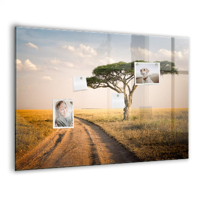 Tableau mural magnétique paysage africain