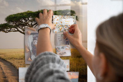Tableau mural magnétique paysage africain