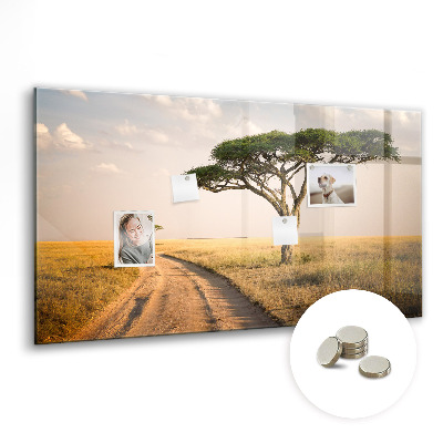 Tableau mural magnétique paysage africain