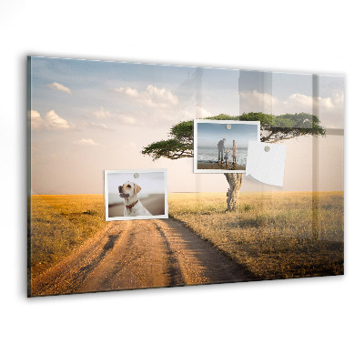 Tableau mural magnétique paysage africain
