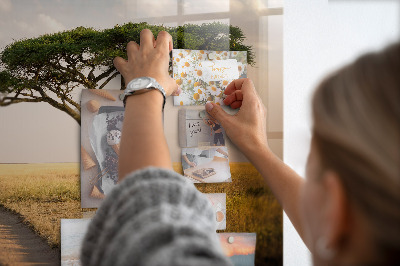 Tableau mural magnétique paysage africain