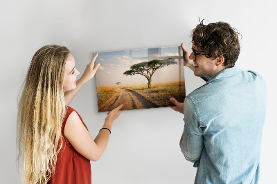 Tableau mural magnétique paysage africain