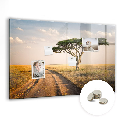 Tableau mural magnétique paysage africain