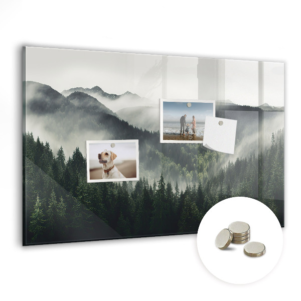 Tableau pour magnet Paysage forestier