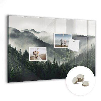 Tableau pour magnet Paysage forestier