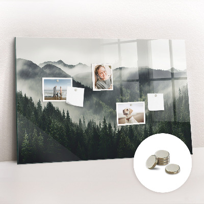 Tableau pour magnet Paysage forestier