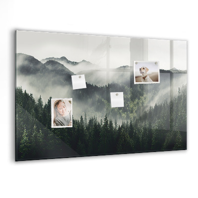 Tableau pour magnet Paysage forestier