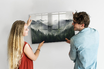 Tableau pour magnet Paysage forestier