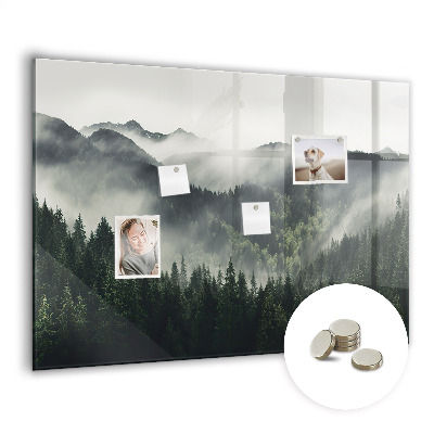 Tableau pour magnet Paysage forestier