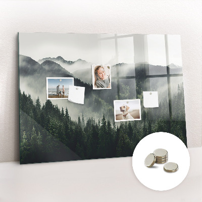 Tableau pour magnet Paysage forestier