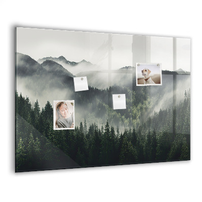 Tableau pour magnet Paysage forestier