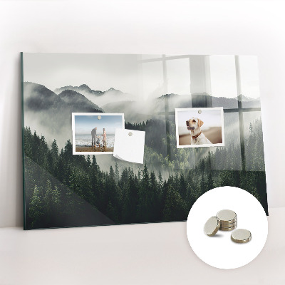 Tableau pour magnet Paysage forestier