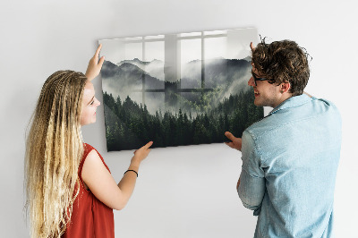 Tableau pour magnet Paysage forestier