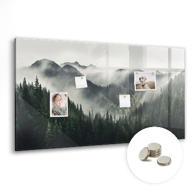 Tableau pour magnet Paysage forestier