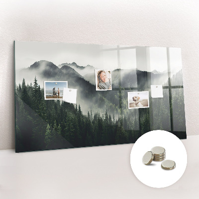 Tableau pour magnet Paysage forestier