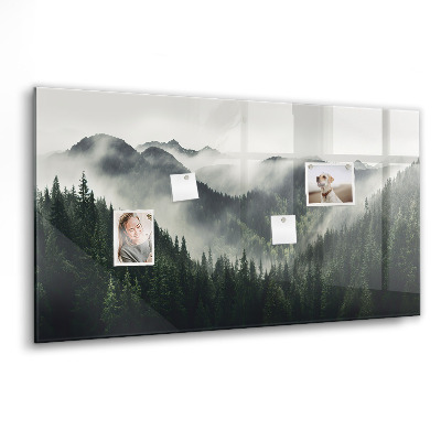 Tableau pour magnet Paysage forestier