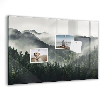 Tableau pour magnet Paysage forestier