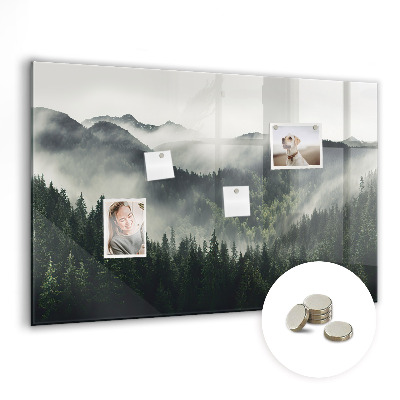 Tableau pour magnet Paysage forestier