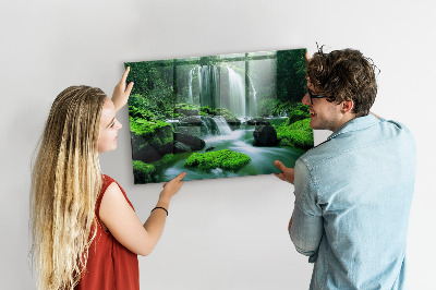 Tableau mural magnétique Cascade parmi la mousse