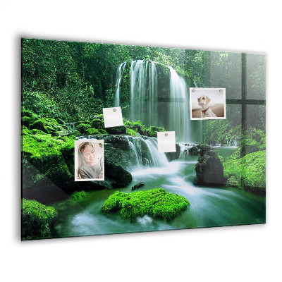 Tableau mural magnétique Cascade parmi la mousse