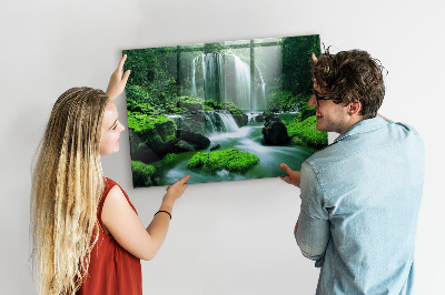 Tableau mural magnétique Cascade parmi la mousse