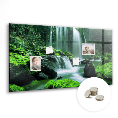 Tableau mural magnétique Cascade parmi la mousse