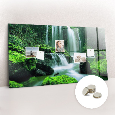 Tableau mural magnétique Cascade parmi la mousse
