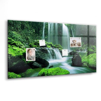 Tableau mural magnétique Cascade parmi la mousse