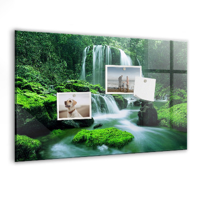 Tableau mural magnétique Cascade parmi la mousse