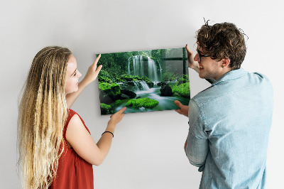 Tableau mural magnétique Cascade parmi la mousse