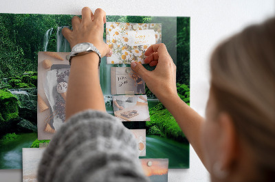 Tableau mural magnétique Cascade parmi la mousse
