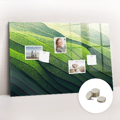 Tableau aimanté horizontal Champs verts abstraits