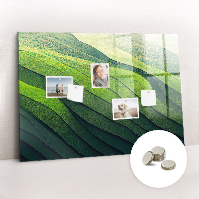 Tableau aimanté horizontal Champs verts abstraits