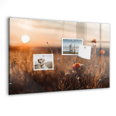 Tableau aimanté horizontal Lever de soleil sur le terrain