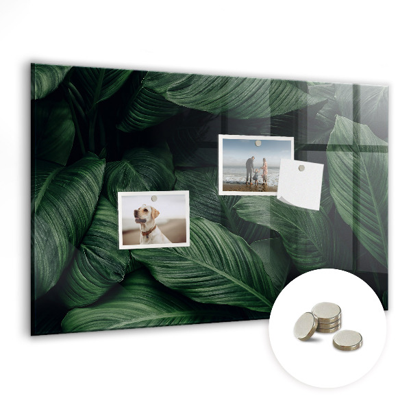 Tableau pour magnet Monstera tropical